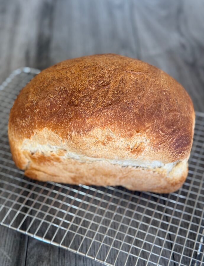 SOURDOUGH SANDWICH BREAD